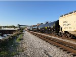 CTCX 302554